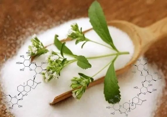 植物提取物展会参展企业山东海根生物:"甜菊糖是居家必备的餐桌甜味剂